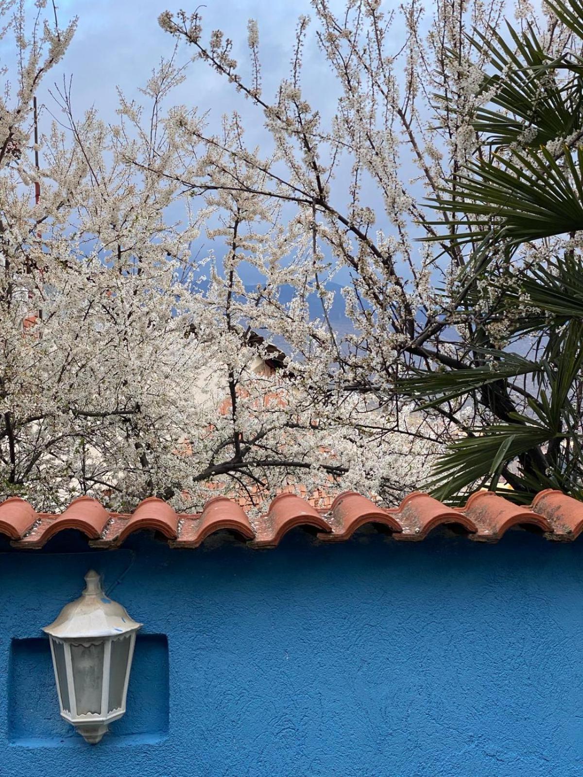 Blue Orange Lake Hostel Ohrid Esterno foto